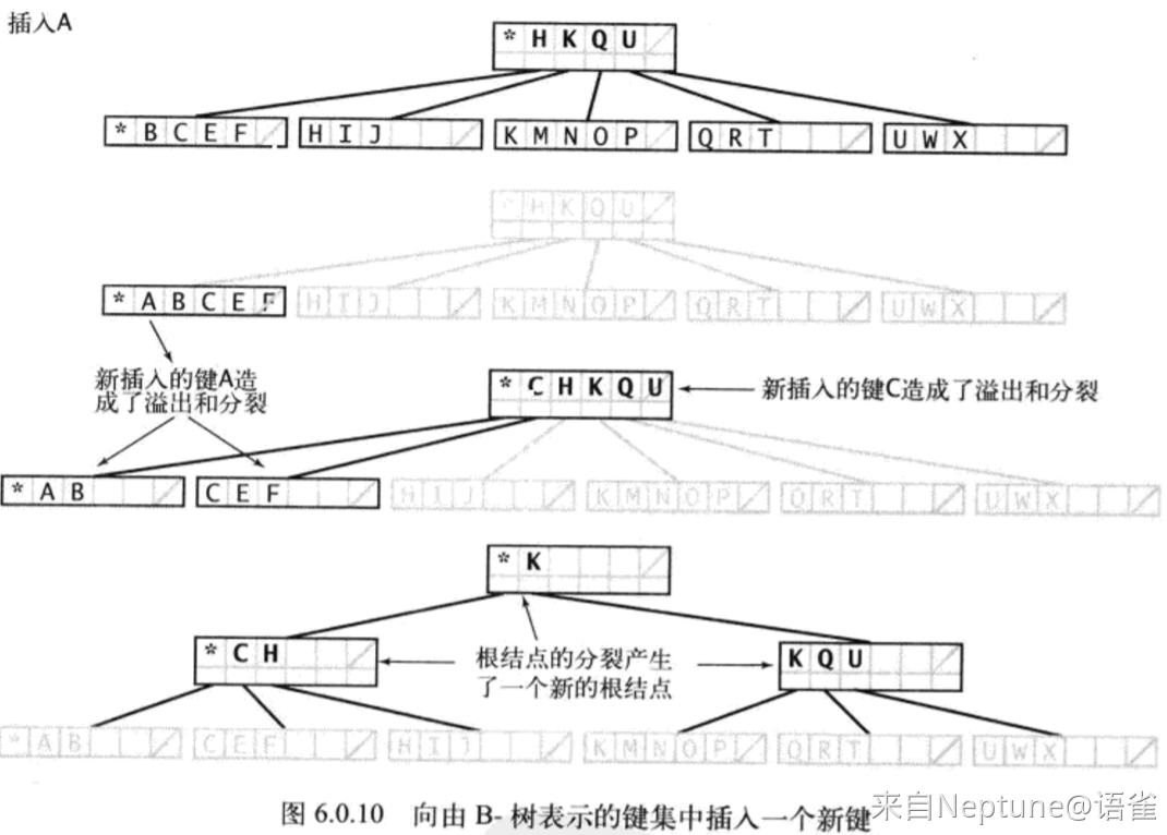 B-3.png